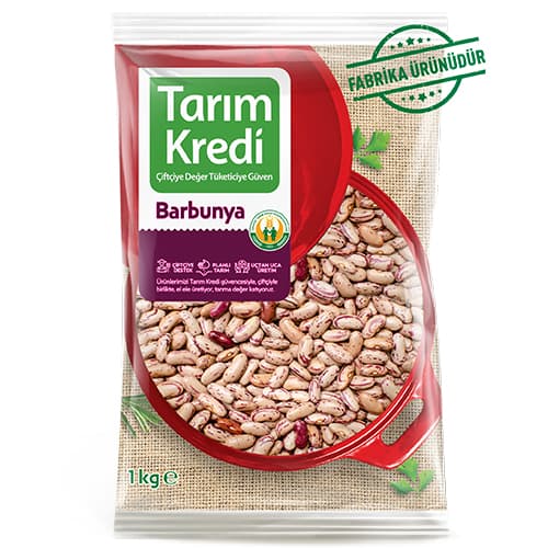 TK BARBUNYA 9 MM