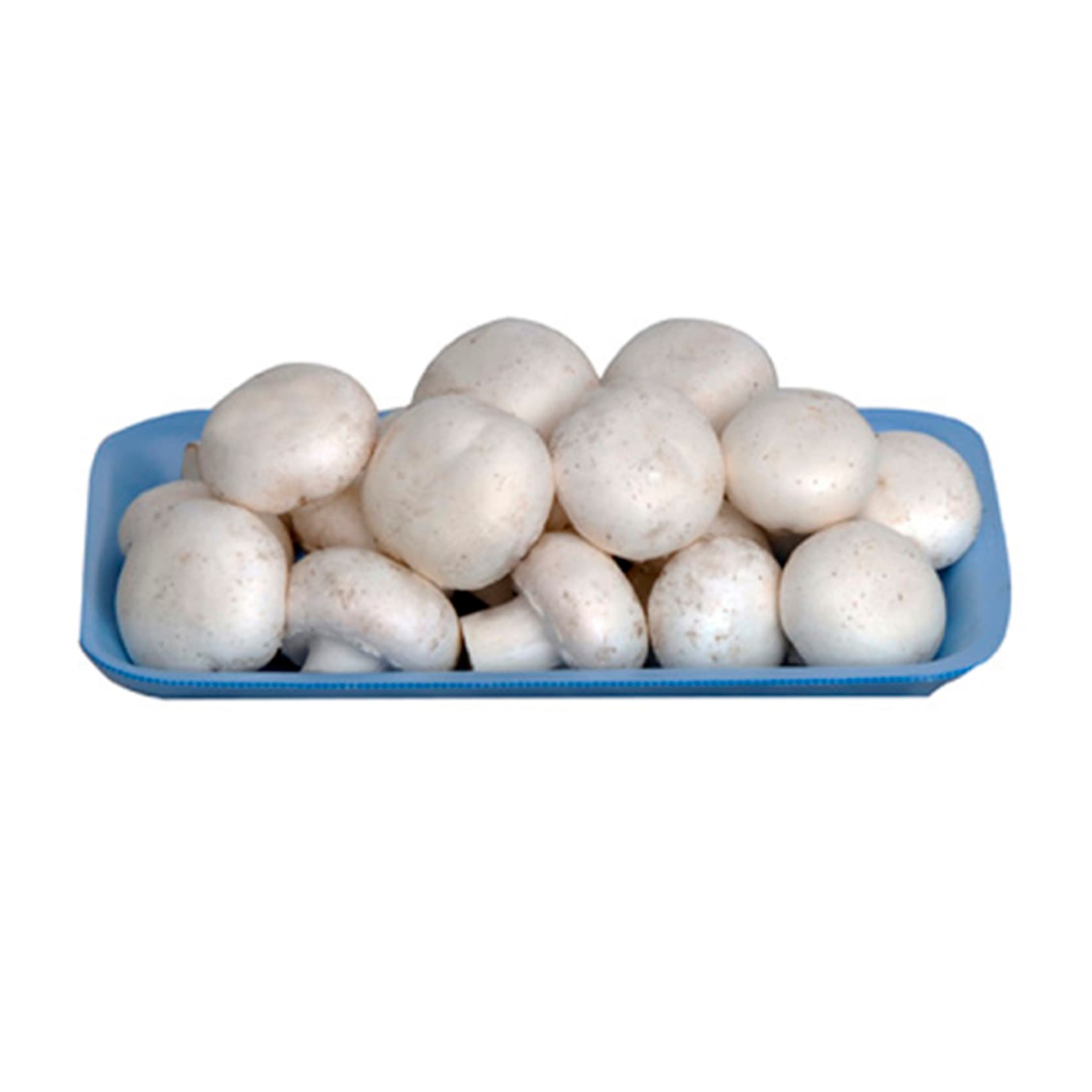 MANTAR PAKET